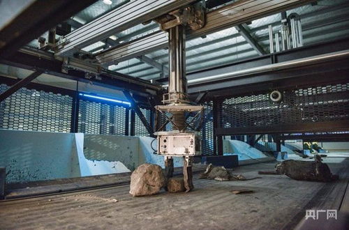 高质量发展看中国 小绿企 长 出大产业 大平台 聚 成新生态